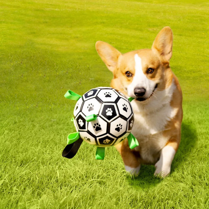 Bijtbestendige rubberen hondenvoetbal met handvatten. Perfect voor ruig buitenspel en training.