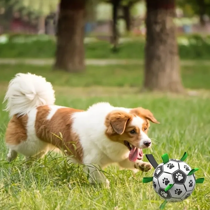 Vrolijke hond speelt actief met de TugBounce hondenvoetbal met handvatten. Voor uren buitenspeelplezier.