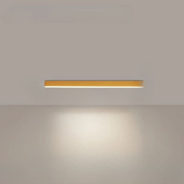 Energiezuinige plafondlamp met LED, strak design, perfect voor elke kamer.