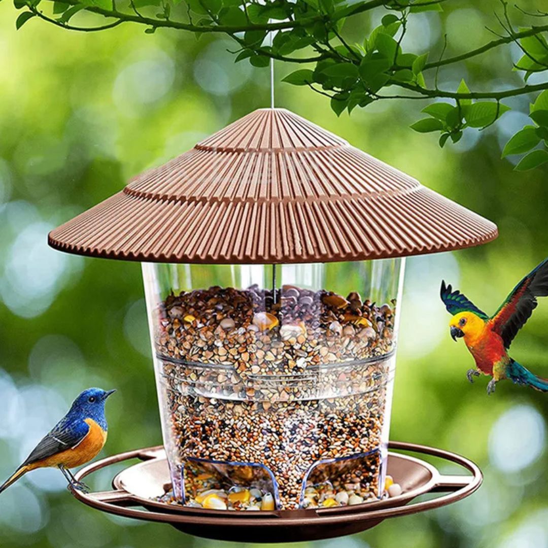 Stijlvolle transparante vogelvoeder voor noten, perfect voor elke tuin; diervriendelijke tuindecoratie.