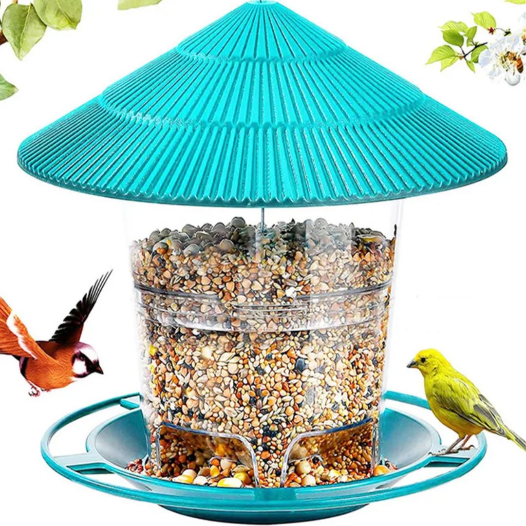 Duurzame transparante noten vogelvoeder; automatische dispenser voor buitengebruik en tuindecoratie.
