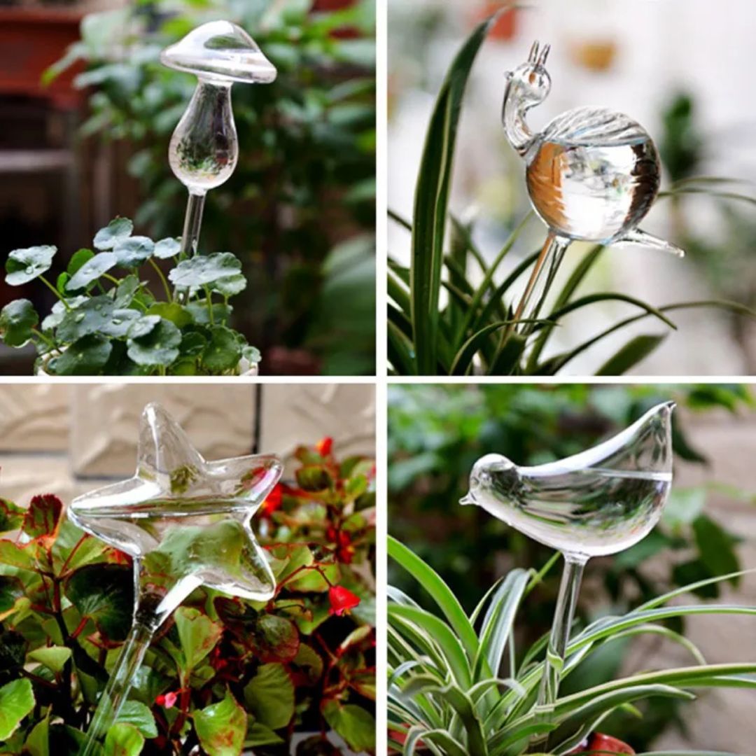 Essentiële glazen zelfwatergever, automatisch en stijlvol, voor het moeiteloos onderhouden van uw planten.