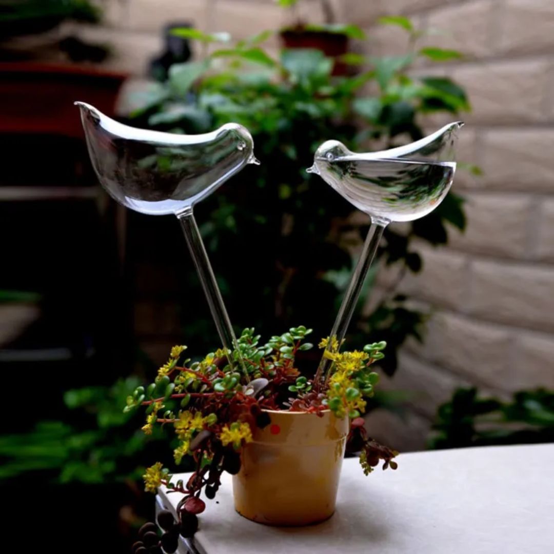 Fraai glazen watergever voor planten, automatisch systeem dat een decoratieve touch geeft aan elke ruimte.