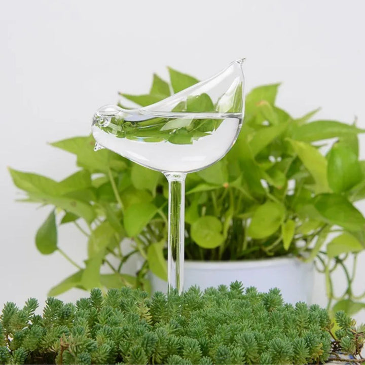 Zelfwatergevend glazen apparaat, esthetisch en automatisch, houdt uw planten vitaal zonder dagelijkse zorg.