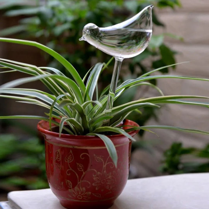 Stijlvol glazen zelfwatergevend systeem voor planten, met automatisch watergeven, ideaal voor interieurdecoratie.
