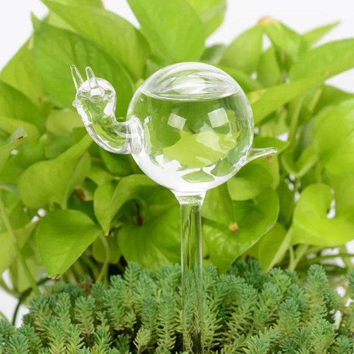 Modern glazen zelfwatergevend apparaat, automatische waterdruppelaar voor gezonde, goed onderhouden planten.