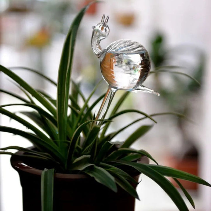 Transparante glazen planten waterdruppelaar, decoratief en automatisch, voor kamerplanten en tuiniers.