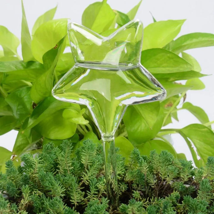 Elegant glazen watergeefsysteem, zelfwatergevend apparaat dat planten hydrateert, perfecte huisdecoratie.
