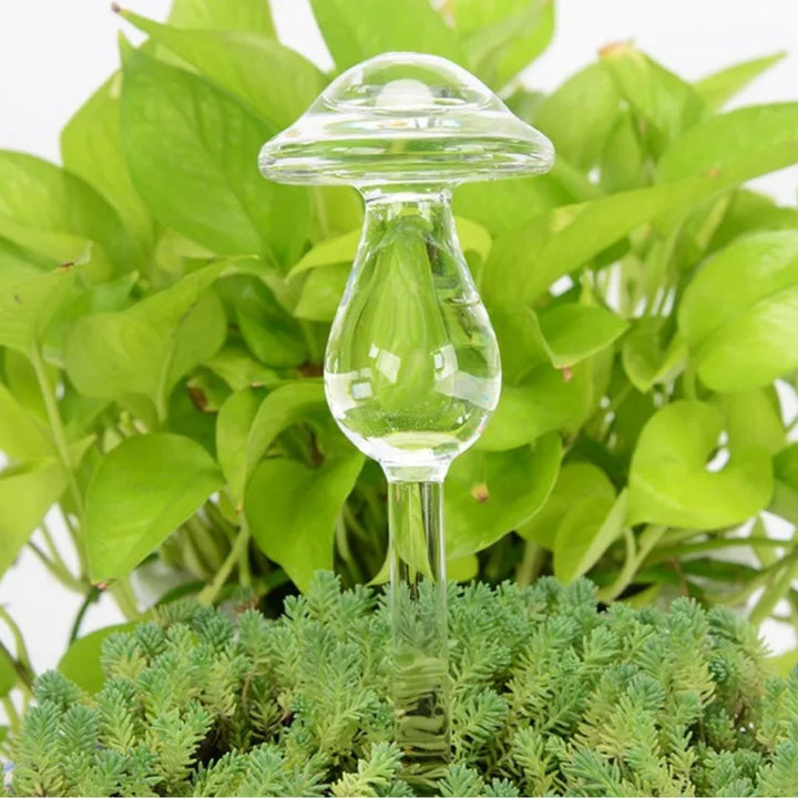 Handig glazen zelfwatergevend apparaat, zorgt automatisch voor uw planten, een must-have voor groene vingers.
