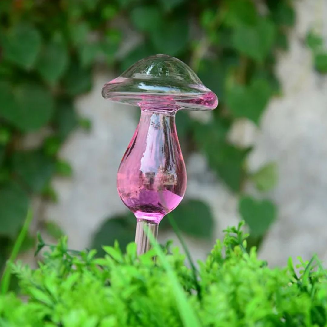 Automatische glazen planten watergever, een decoratieve en praktische oplossing voor elke plantenliefhebber.