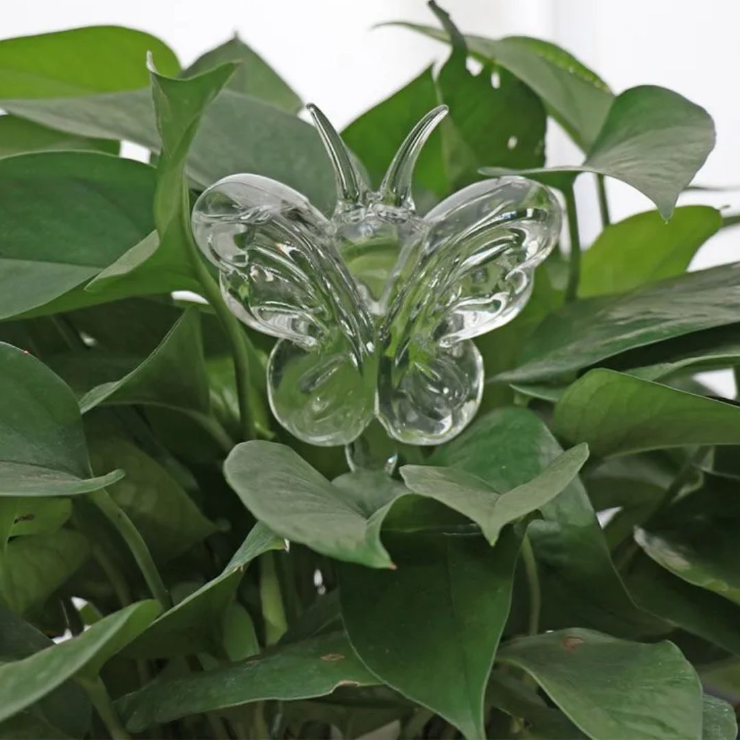 Hoogwaardig glazen zelfwatergevend apparaat voor planten, stijlvolle en efficiënte plantenverzorging.