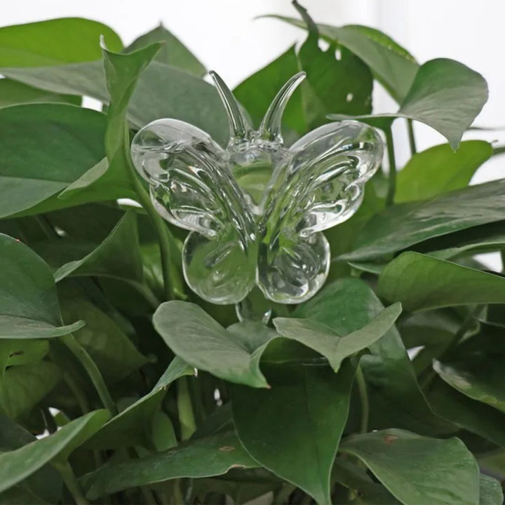 Hoogwaardig glazen zelfwatergevend apparaat voor planten, stijlvolle en efficiënte plantenverzorging.