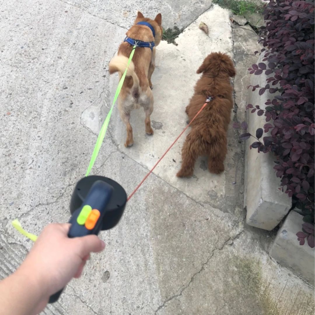 Comfortabele anti-klit dubbele hondenriem voor actieve wandelingen met twee honden, inclusief zaklamp.