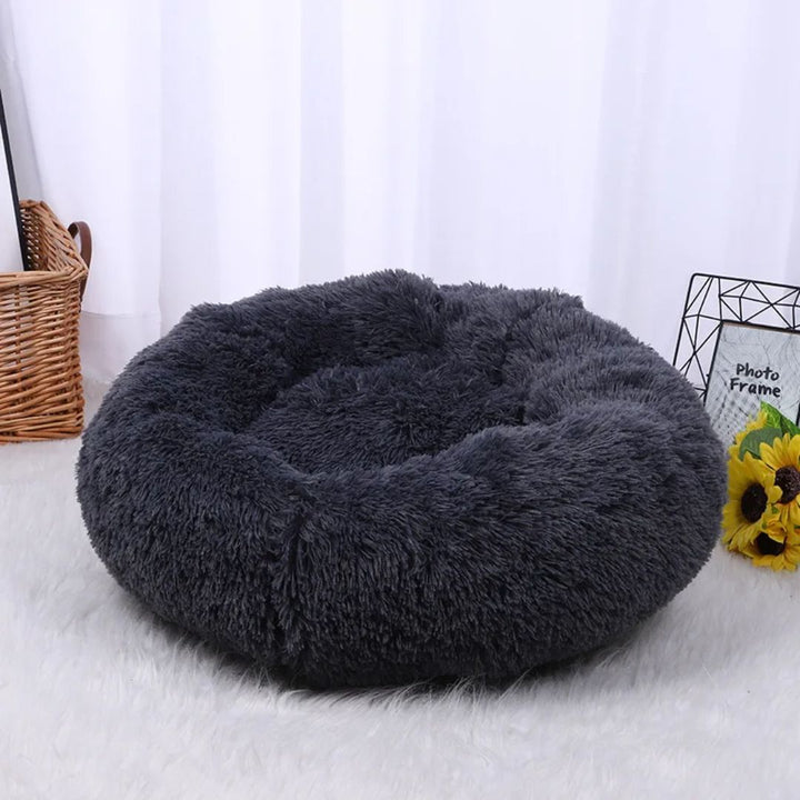 Blije hond slaapt in zacht pluchen donut huisdierenbed; comfortabel en warm voor diepe rust.