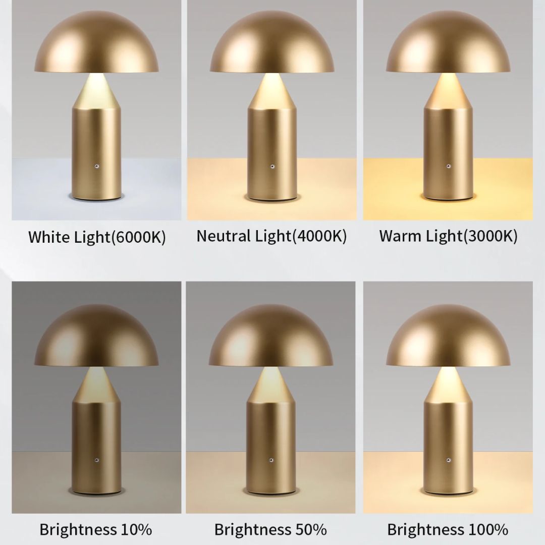 Gezellige paddenstoel decoratie lamp, met ingebouwde accu en handige touch aan/uit functie.