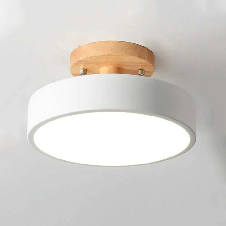 Witte ronde plafondlamp Nova met geïntegreerde LED, minimalistisch en functioneel.