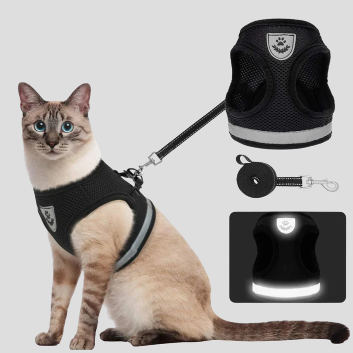 Veilig kattenharnas met verstelbare riem; comfortabel tuigje voor alle kattenmaten. Ideaal voor kattenwandelen.