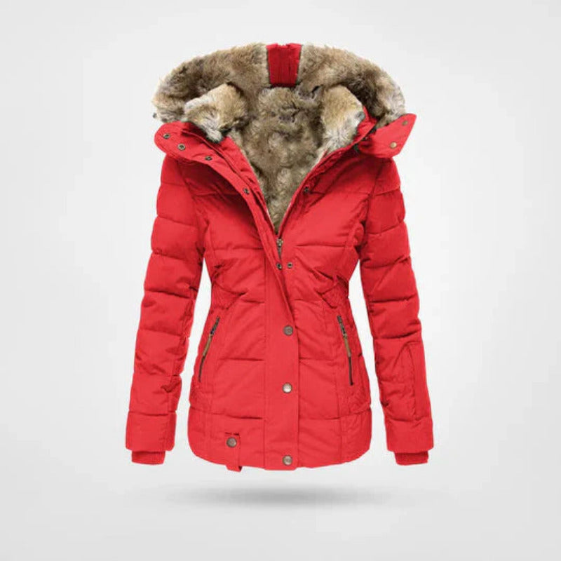 Trendy dames winterjas, essentieel voor winterkleding, met beschermende capuchon en dubbele sluiting tegen de kou.