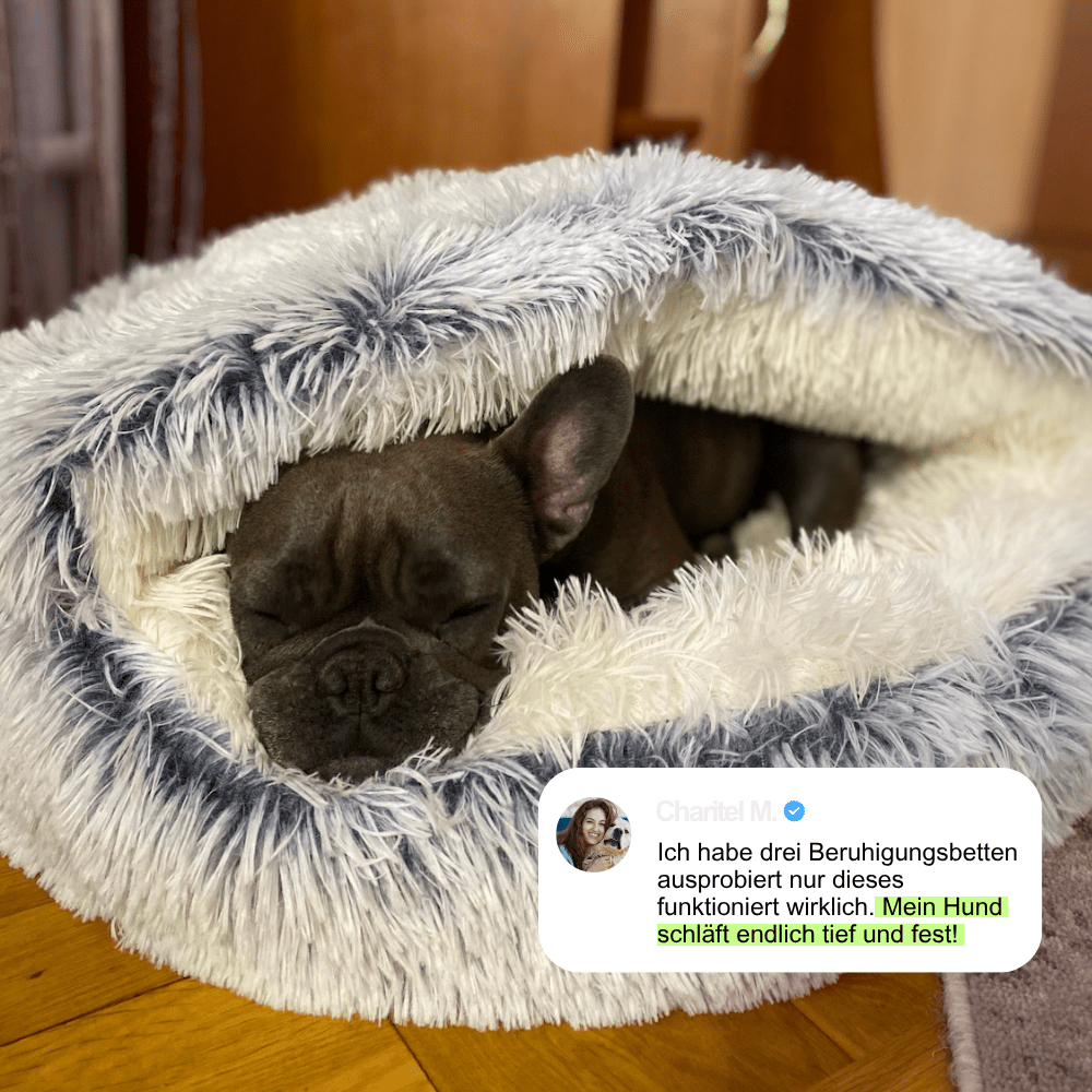 Lichtgrijs kalmerend COZYRO hondenbed met verhoogde rand voor geborgenheid, zacht pluche comfort en diepe slaap.