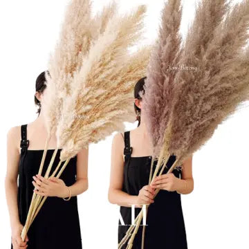 Hele bundel natuurlijk pampas gras met zachte pluimen. Een duurzame en stijlvolle keuze voor woondecoratie.