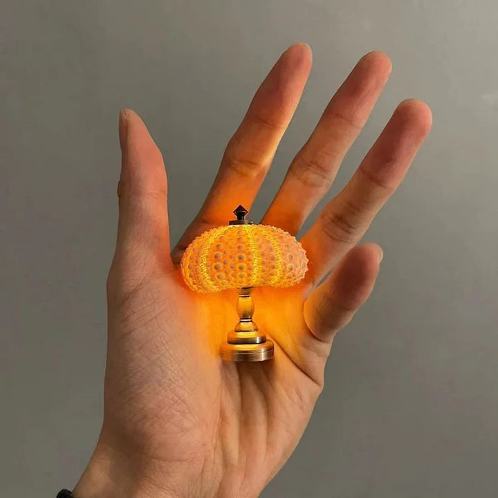Natuurlijke zeeschelpenlamp voor ontspannende sfeerverlichting. Ideaal als nachtlamp of unieke tafeldecoratie.
