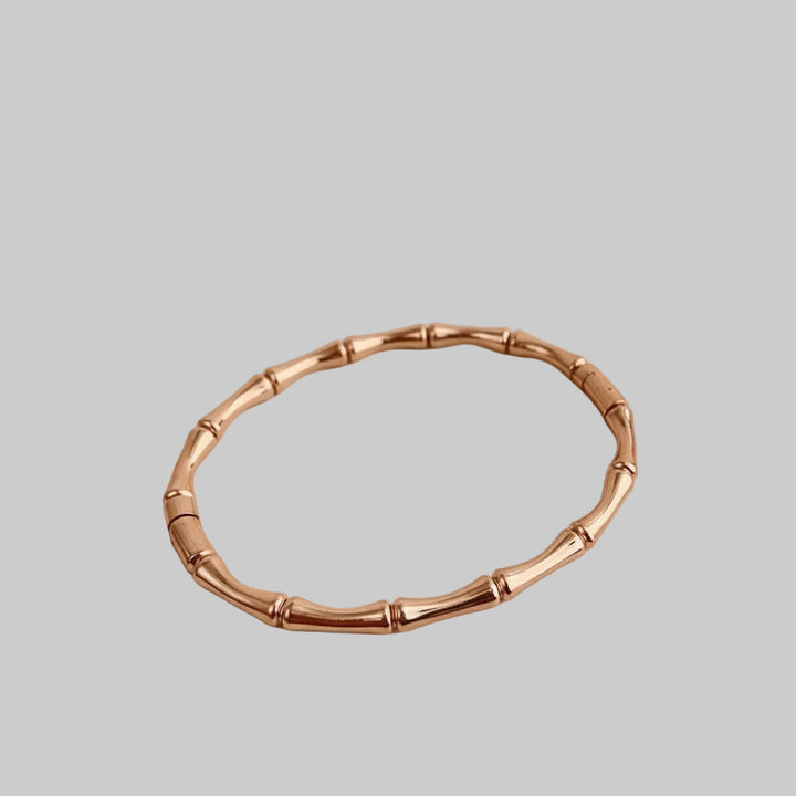 Trendy zilverkleurige bamboeschakel armband voor dames. Duurzaam titanium staal accessoire voor elke outfit.
