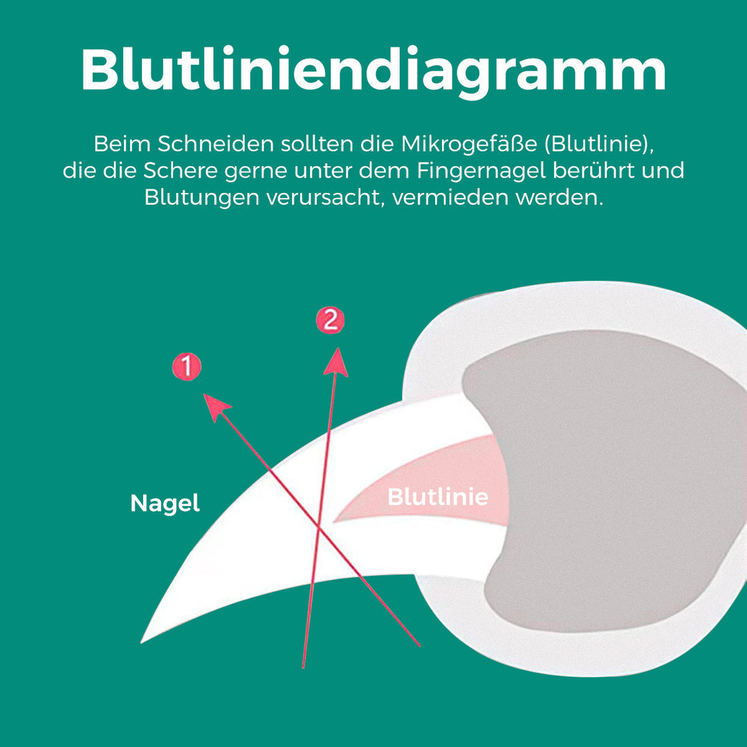 Gedetailleerde weergave van de veiligheidssensor. Voorkomt overknippen en verwondingen bij huisdier nagelverzorging.