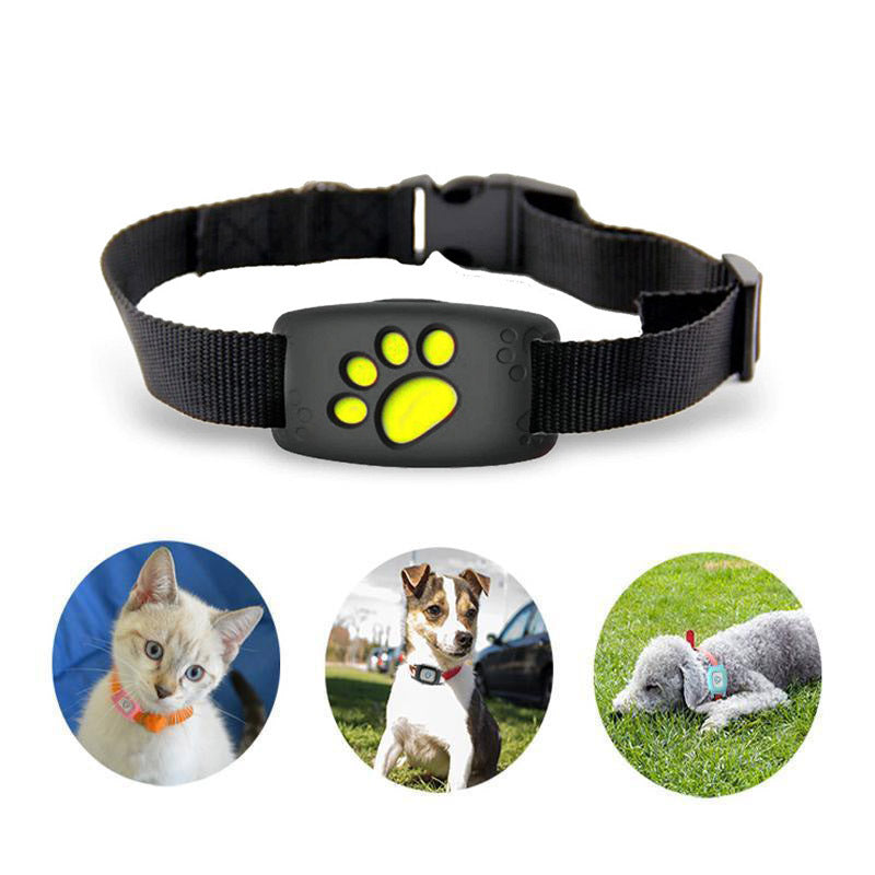 Waterdichte GPS-tracker halsband voor katten & kleine honden, zonder abonnement. Veilige dierentag voor huisdier.