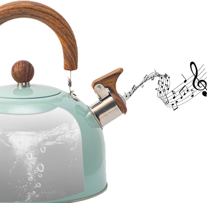 Duurzame RVS fluitketel, perfect voor snel kokend water en thee in elke moderne keuken.