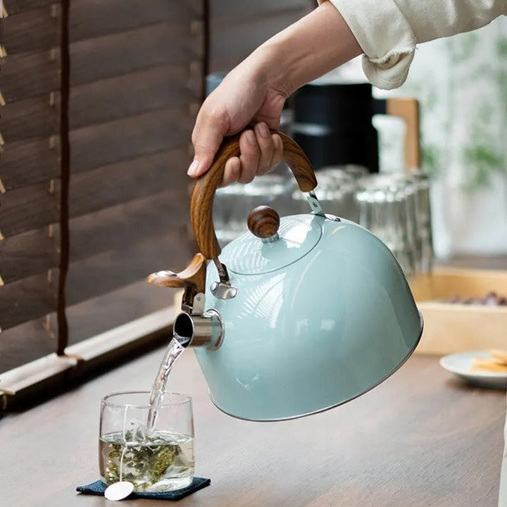 Elegante fluitketel van geborsteld RVS, een essentieel keukenaccessoire voor thuis.