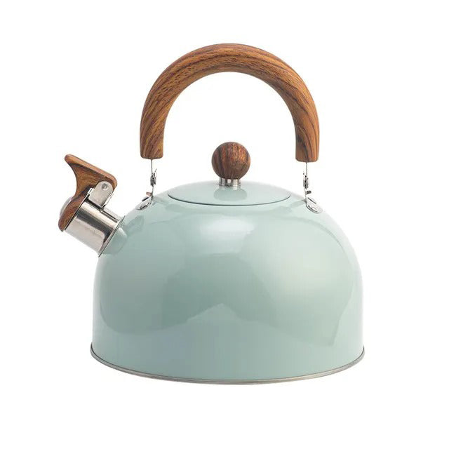 Klassieke zilverkleurige fluitketel van RVS, onmisbaar in de keuken voor dagelijks gebruik.