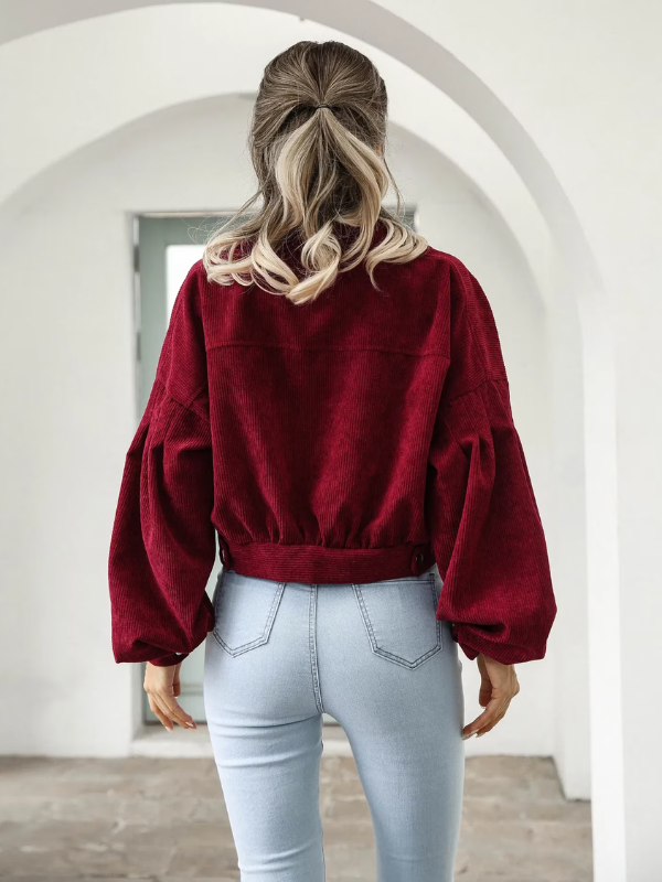 Damesmode: Eva cropped bomber, stijlvolle jas met moderne retro look.