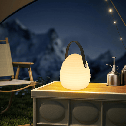 Elegante Tuinlantaarn met LED Verlichting