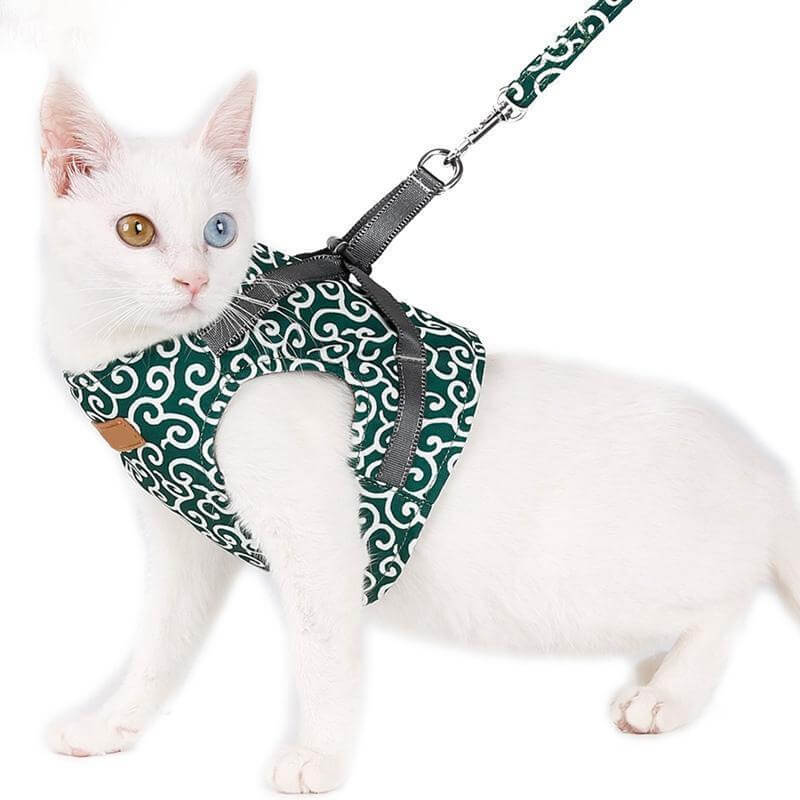 Kattenvest harnas set met riem, perfect voor veilige buitenwandelingen met katten en kleine honden.