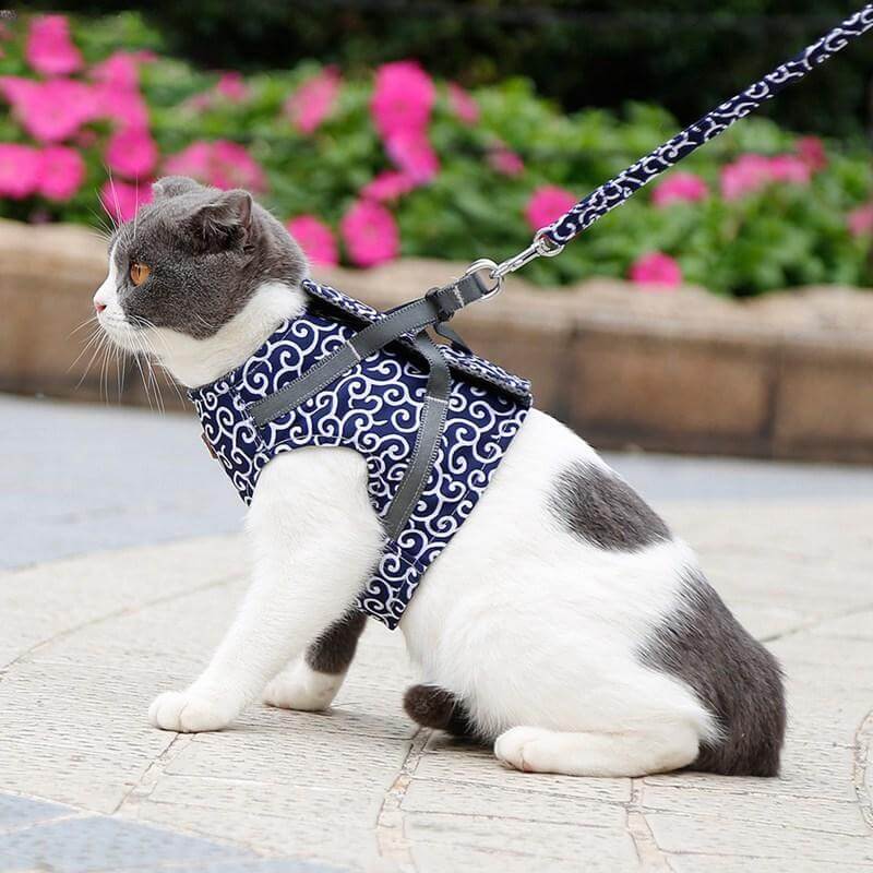 Kattenvest harnas set, comfortabel en veilig voor katten en kittens, ideaal voor buitenwandelingen.