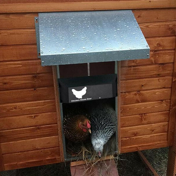 Veilige automatische kippendeur die uw pluimvee beschermt tegen roofdieren. Essentieel voor een modern kippenhok.