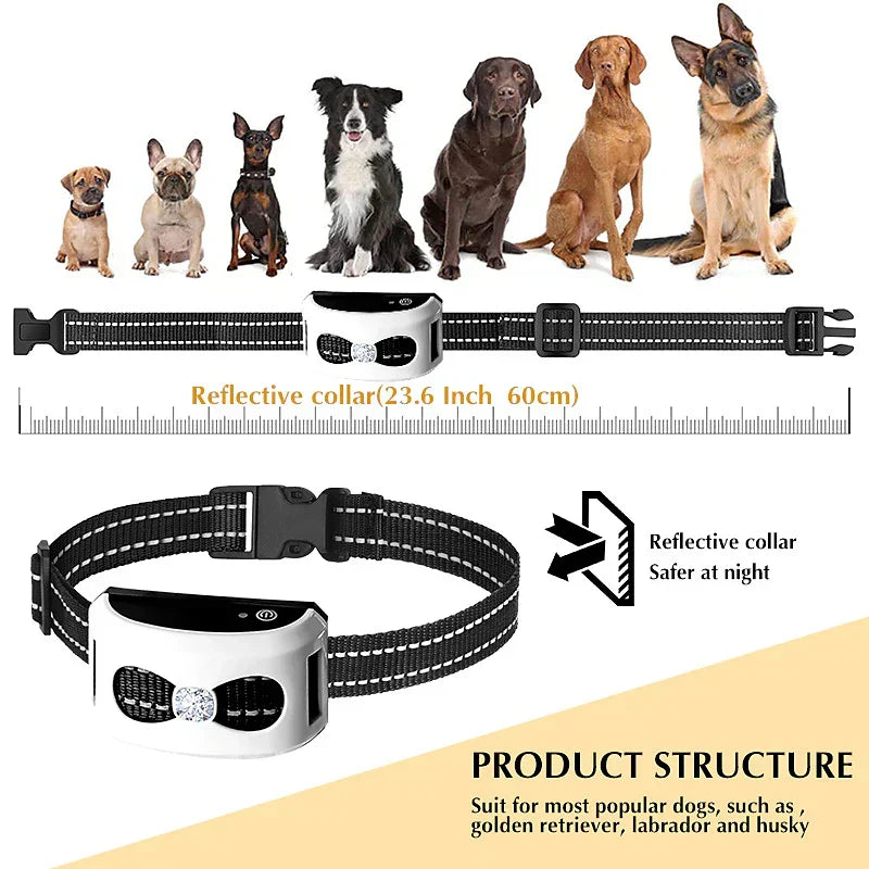 Draadloos hondenhek systeem voor veilige begrenzing; geeft honden de vrijheid binnen een virtuele omheining.