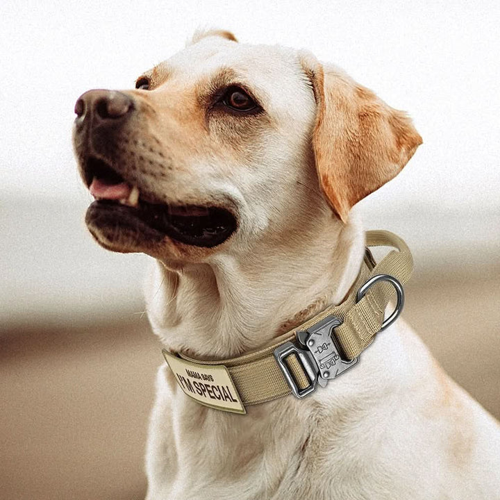 Robuuste tactische halsband voor honden, comfortabel en verstelbaar voor optimale controle tijdens training.