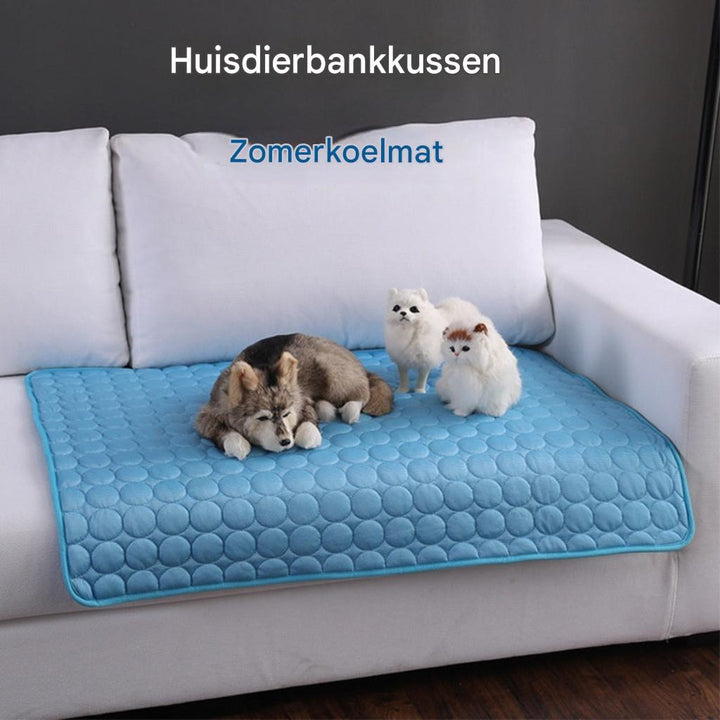 Duurzame, gemakkelijk schoon te maken koelmat voor honden en katten, biedt comfort en verkoeling in de zomer.