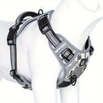 Lichtgrijs