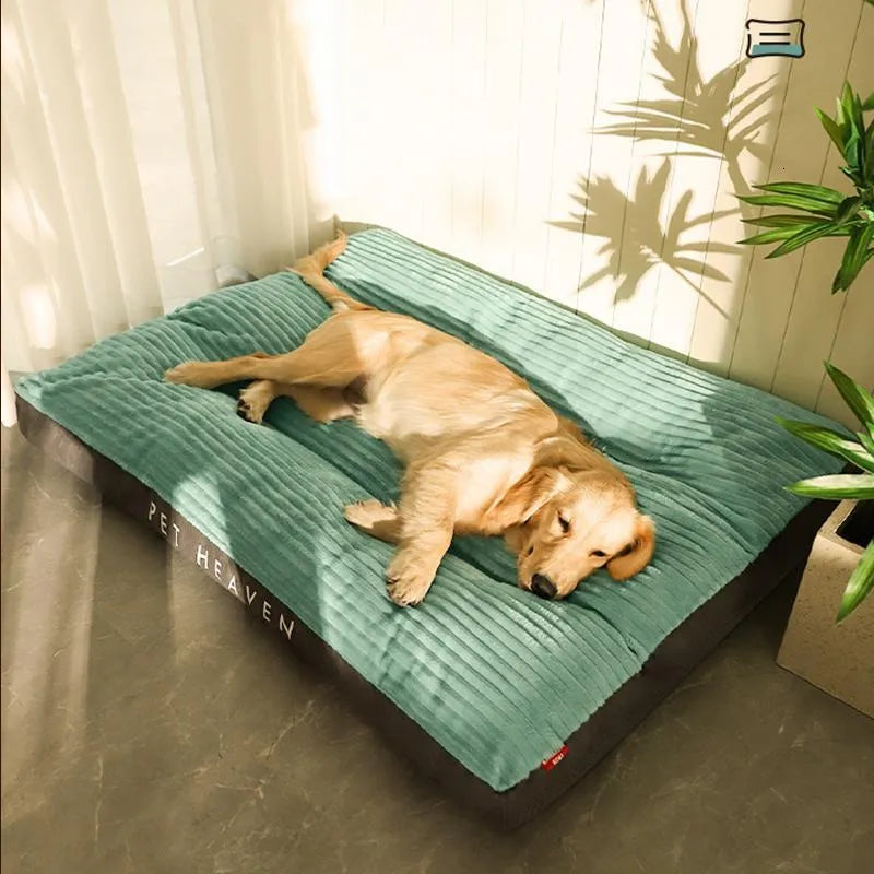 Zacht orthopedisch hondenbed met praktische afneembare en wasbare hoes, voor een hygiënisch en comfortabel huisdierbed.
