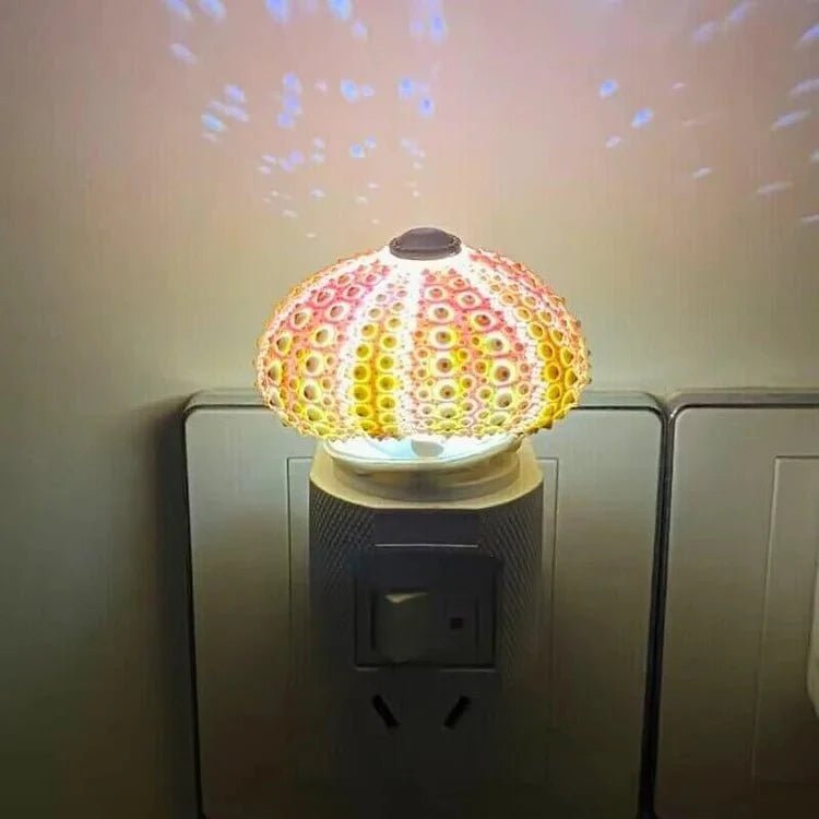 Close-up van een delicate zee-egel schaal met zachte LED-verlichting. Onderdeel van de LumiUrchin DIY nachtlampje set.