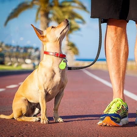 GPS-tracker stevig bevestigd aan de halsband van een vrolijke hond; vind je huisdier altijd terug met deze tracker.
