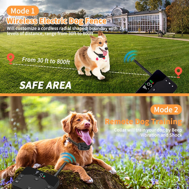 Hond draagt draadloze GPS-halsband; geniet veilig van buitenspelen binnen virtuele hondenhek zone.