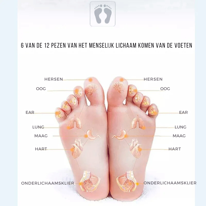 "Draagbaar EMS voetmassage kussen, stimuleert spieren, bevordert doorbloeding. Lichtgrijs ontwerp, ideaal voor ontspanning."