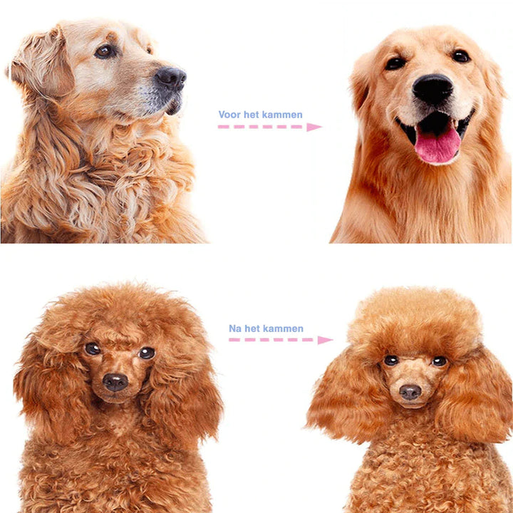 Comfortabele grip dubbelzijdige ontharingsborstel voor honden en katten; essentiële vachtverzorging.