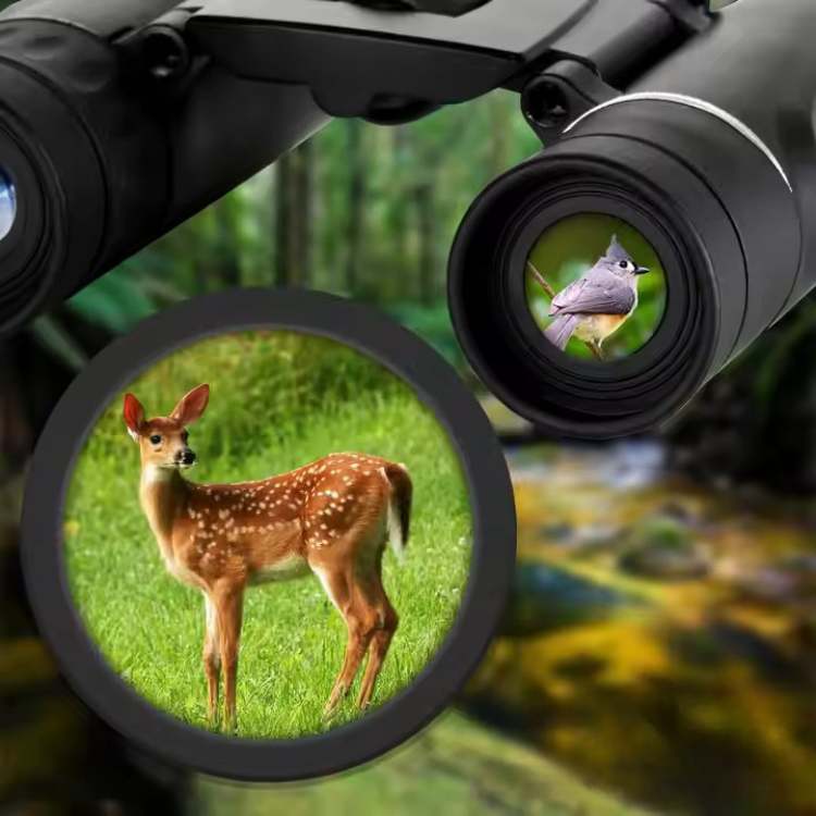 Compacte HD verrekijker 40x22, perfect voor reizen, wildlife observatie en kamperen in de natuur.