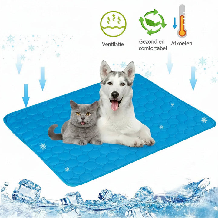 Koelmat huisdieren; comfortabele verkoeling voor hond en kat tijdens warme zomerdagen.