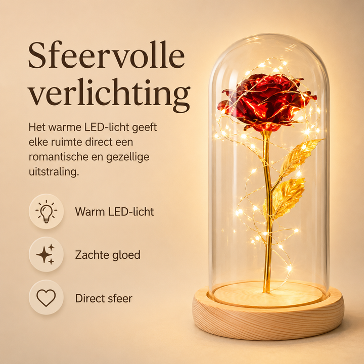 Unieke eeuwigheidsroos onder stolp met LED-licht, ideaal als luxe decoratie voor elk interieur.