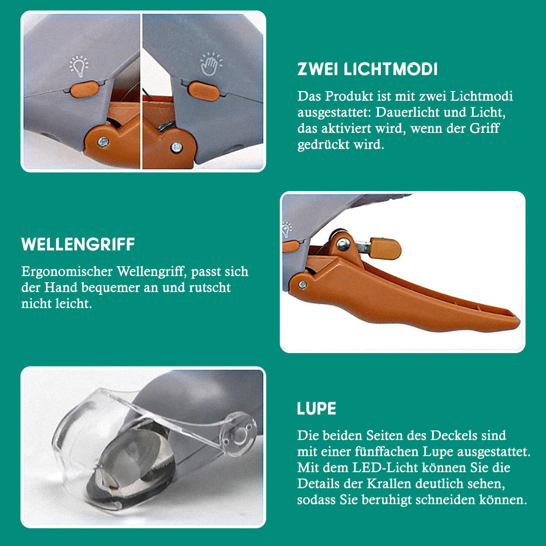 Een hondennagel veilig knippen met de LED nagelknipper en sensor. Stressvrije verzorging voor uw hond.